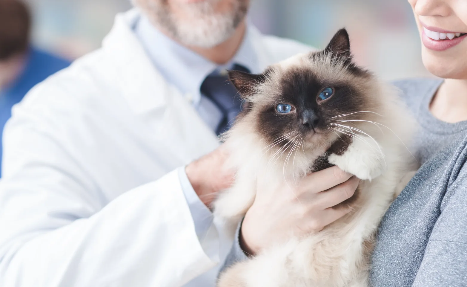 Woman holding cat with doctor